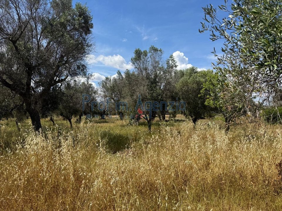 Helårsgrund i San Vito dei Normanni, Brindisi - foto 4